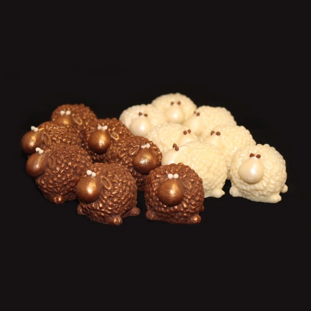 Chocolate Sheep - Milk Chocolate – Kent and Kiwi